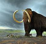 Wholly Mammoth