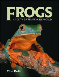 Frogs Inside Their Remarkable World
