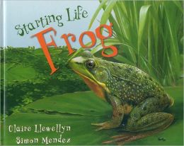 Starting Life Frog