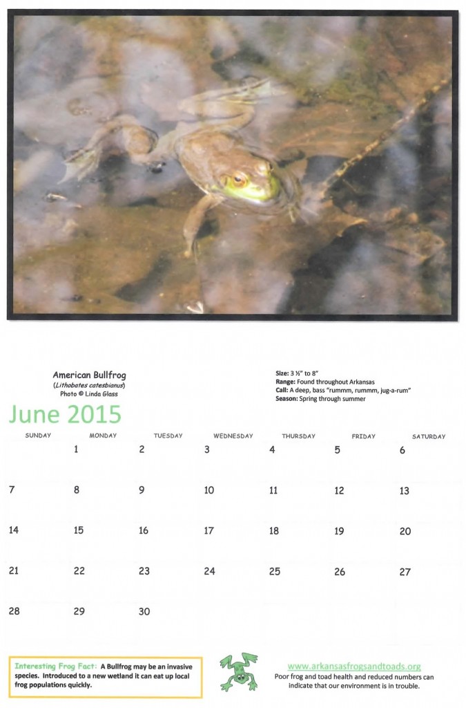 2015 Arkansas Frogs and Toads Calendar