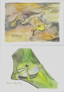 Frog and Toad Note Cards