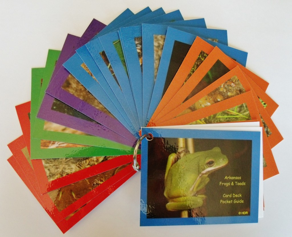 Frog Card Deck
